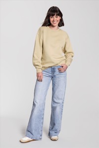 Fruit of the Loom Iconic Premium Set-In Sweat Fruit of the Loom 622820