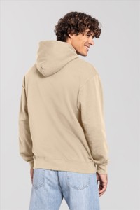 Fruit of the Loom Iconic 250 Hooded Sweat Fruit of the Loom 622940